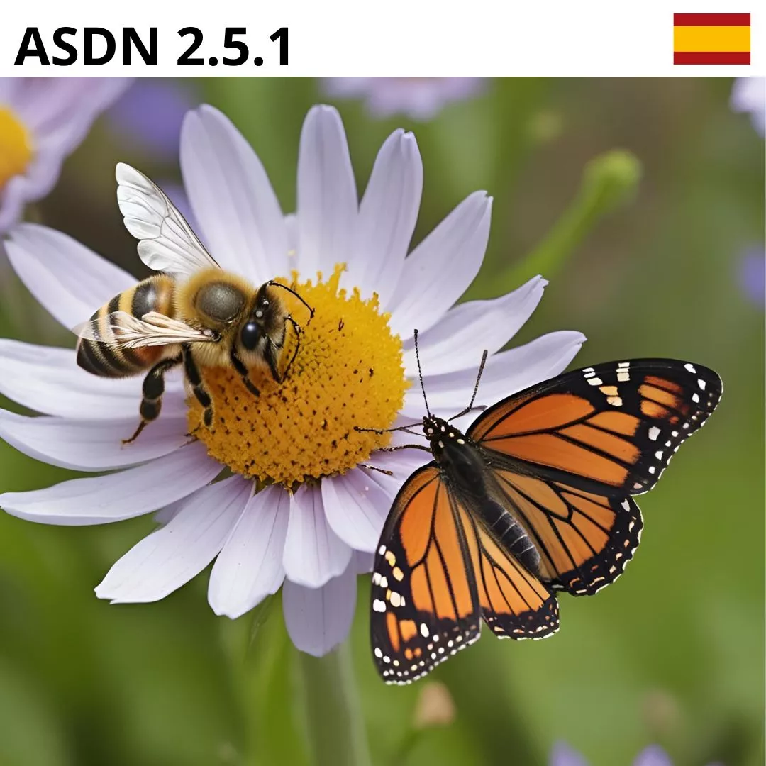 nombre del pájaro