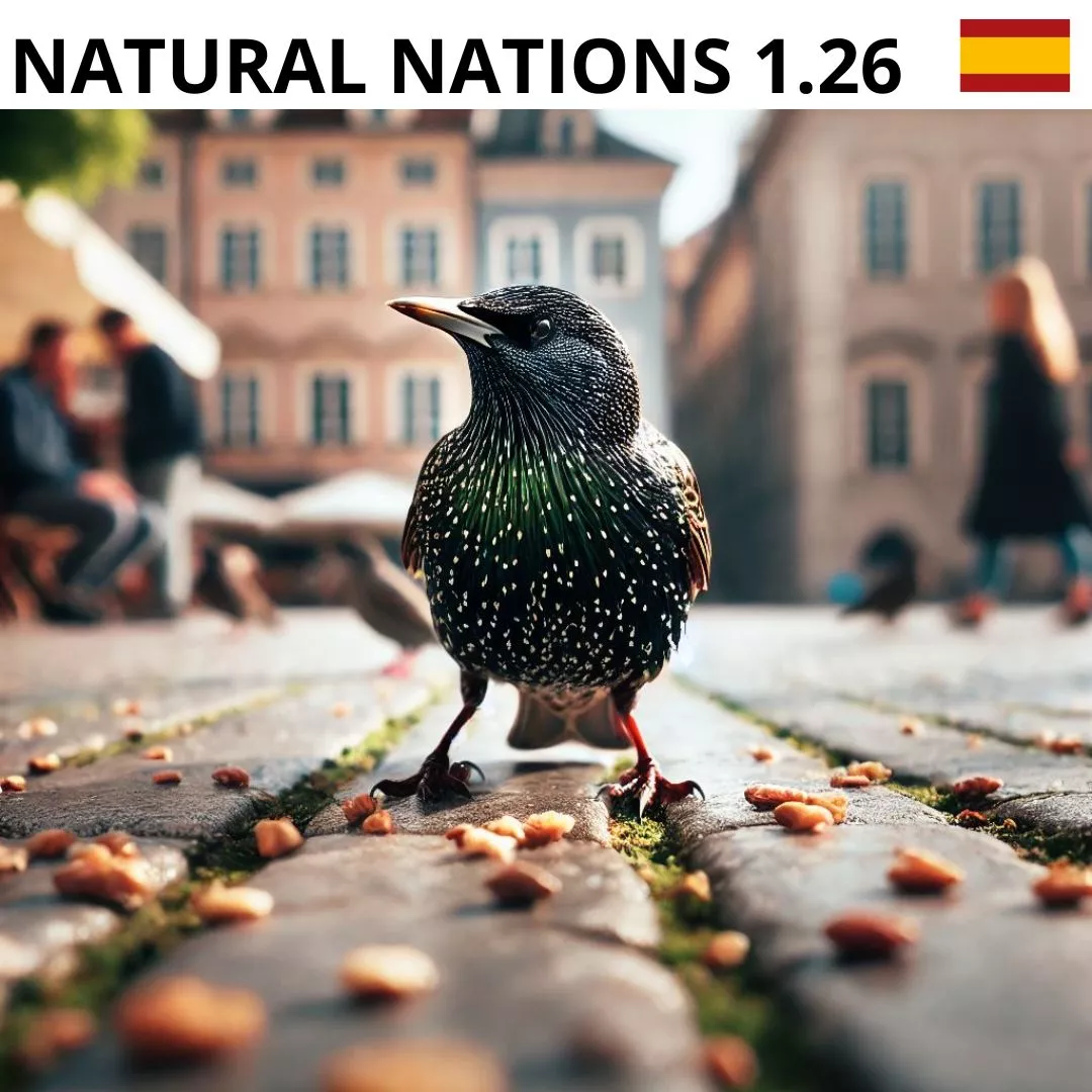 nombre del pájaro