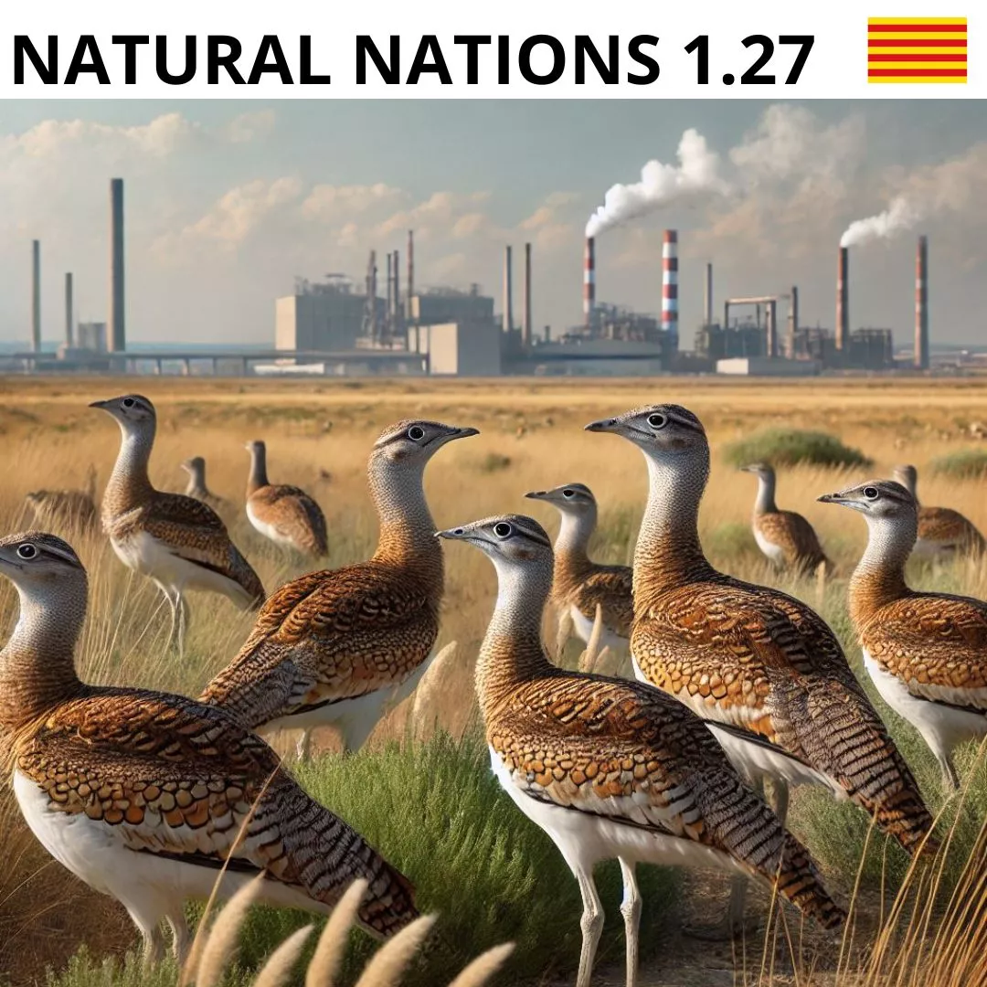 nombre del pájaro