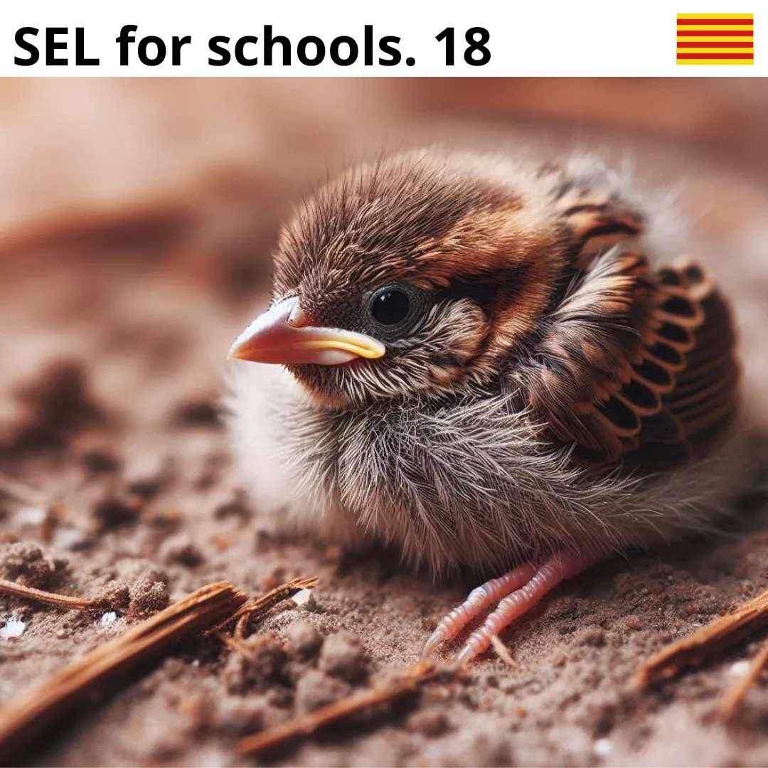 nombre del pájaro