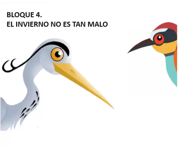 nombre del pájaro